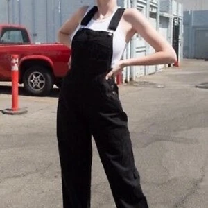 Brandy Melville Hängselbyxor  - Säljs inte längre på hemsidan. Jag säljer för att jag har ett annat par jag använder mer. Kan skicka fler bilder om det behövs. Jag är 175 och de sitter precis som på första bilden som är tagen från hemsidan. 