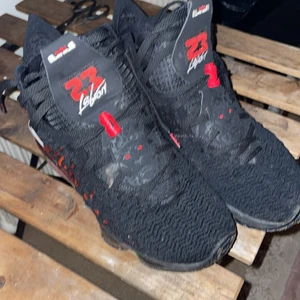 Nike Lebron 17 Infrared  - Felfria skor 