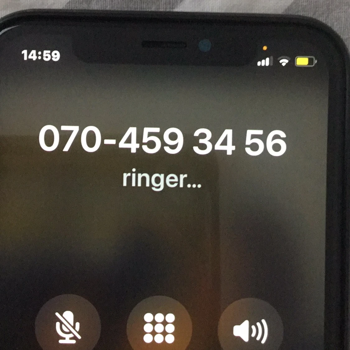 MAYA LEO NUMMER  - 91