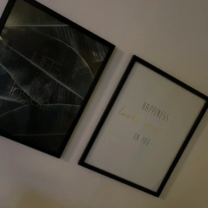 Tavlor  - Ny skick , alla 3 för 150 eller 60 en stk 