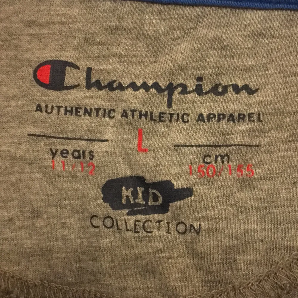 Fin grå champion tshirt kid collection i storlek junior large/ xs. Välanvänd och skön att sova och ha på sig på dagarna💕 frakt 45kr. Skjortor.