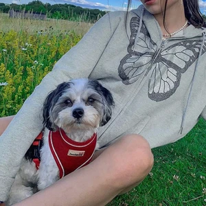 Y2k fjärilströja  - Skit fin y2k hoodie ifrån amazon säljer pga att den inte används🦋 (frak ingår ej) lånade bilder