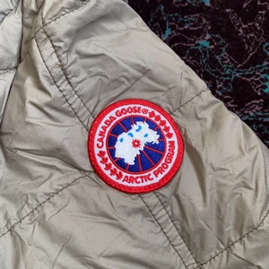 Canada goose - Strl s