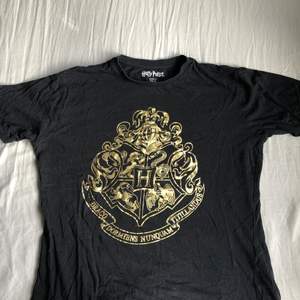 Säljer min svarta Harry Potter tröja med guld Hogwarts motiv.