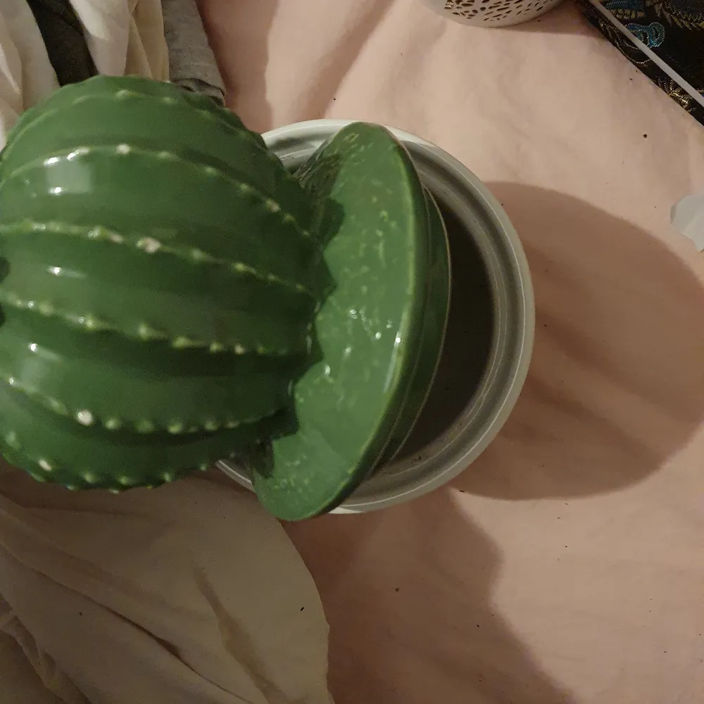 Porslin kaktus med gömd låda, runt 25-30 cm hög och runt 10-15 cm bred. Frakt kostar 66kr och skickar säkert inslaget så den inte går sönder♡. Övrigt.