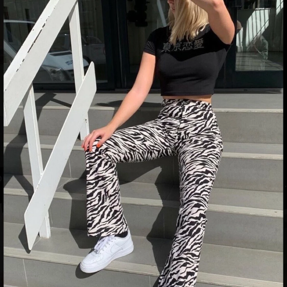 Zebrapants