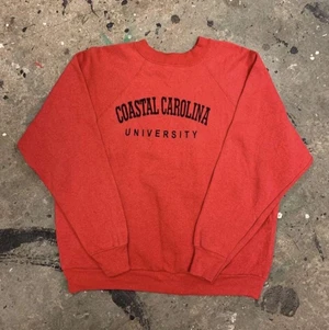 Collegetröja - Skitsnygg collegetröja/sweatshirt säljes pga fel storlek (oversized)