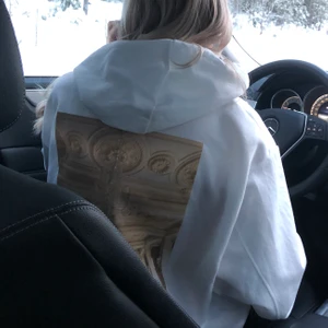 Zara hoodie  - Zara hoodie storlek M använd 1 gång