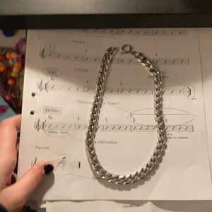 Halsband - Skitsnygg kedja fortfarande fint skick fast använt länge!