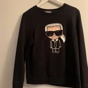 En sweatshirt från Karl Lagerfeld. Använd sparsamt och i fint skick. Passar mig som är en S/M. Nypris 1500kr 