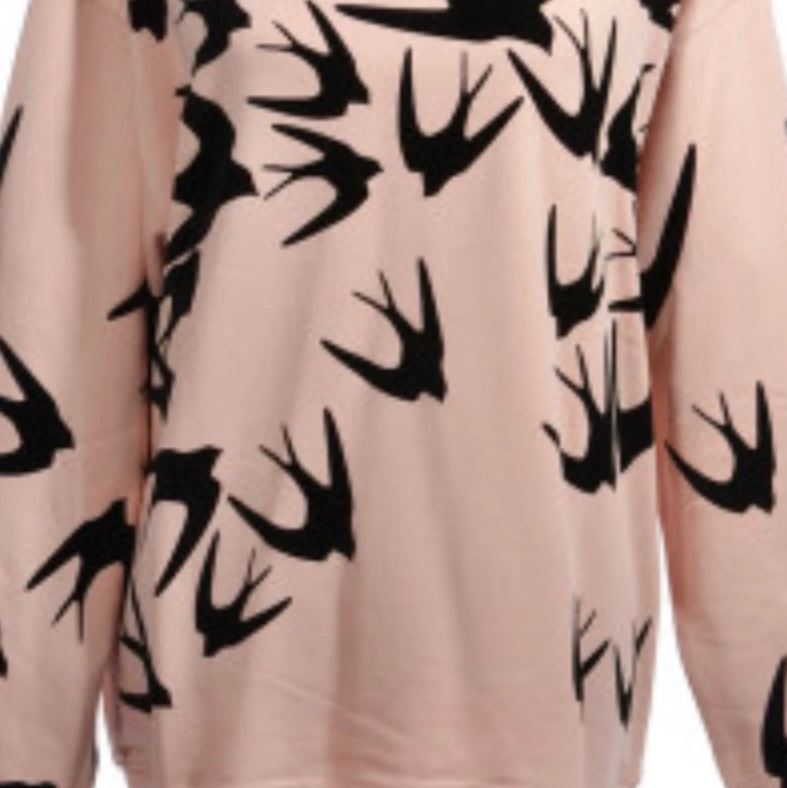 Alexander mcqueen sweatshirt