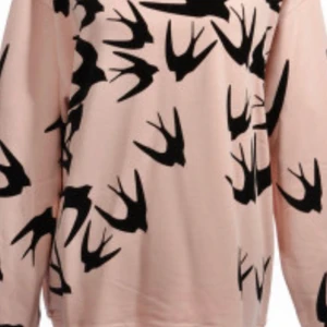 Alexander mcqueen sweatshirt  - Ungefär ny inget fel på den alls