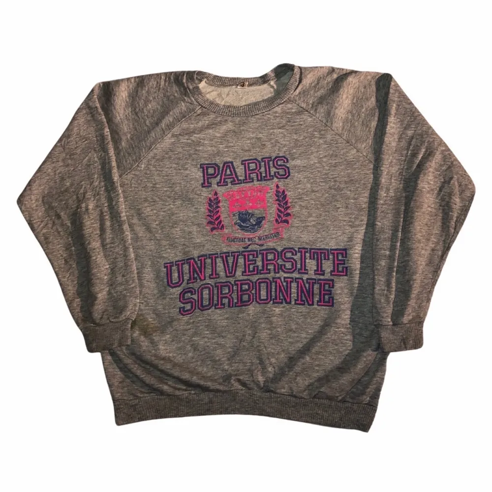 En fin grå sweatshirt som är perfekt för att ha som en lite mer oversized fit. Har ett fint grafiskt tryck från universitetet av Frankrike. Köpt på en amerikansk trifthstore.. Hoodies.