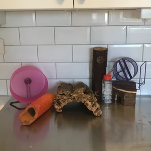 Hamster tillbehör - 2st hamsterhjul, hus, bro, tunnlar och vatten flaska.  Skriv för enskilda priser. Allt konstat annars 200kr