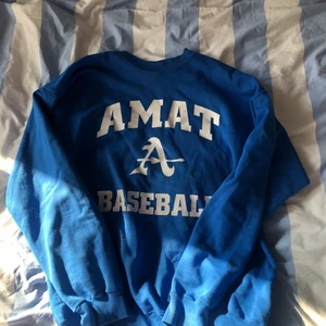 Champion sweater  - Köpte denna på Beyond retro för 4 år sen men knappt fått användning av den. De är en äkta champion tröja, ganska vintage antar jag. Storlek L men är oversized så passar xl oxå😊 köparen står för frakten och jag ansvarar inte för postens slarv 