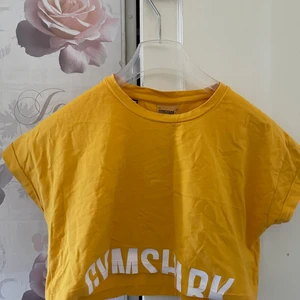 Gymshark, croppad tränings t-shirt  - Extremt fin passform, men kommer tyvärr inte till användning 😢 passa på!!