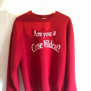 Vintage Sweatshirt  - Säljer en vintage sweatshirt från Jerzees. Storlek L