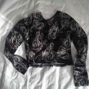 Långärmad Svart Meshtröja m dragon print - Meshtop från Asos Design. Nyskick, köpt för 200kr. Pris kan diskuteras. Kan fraktas.