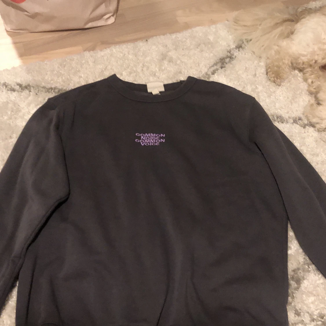 Grå tröja med tryck