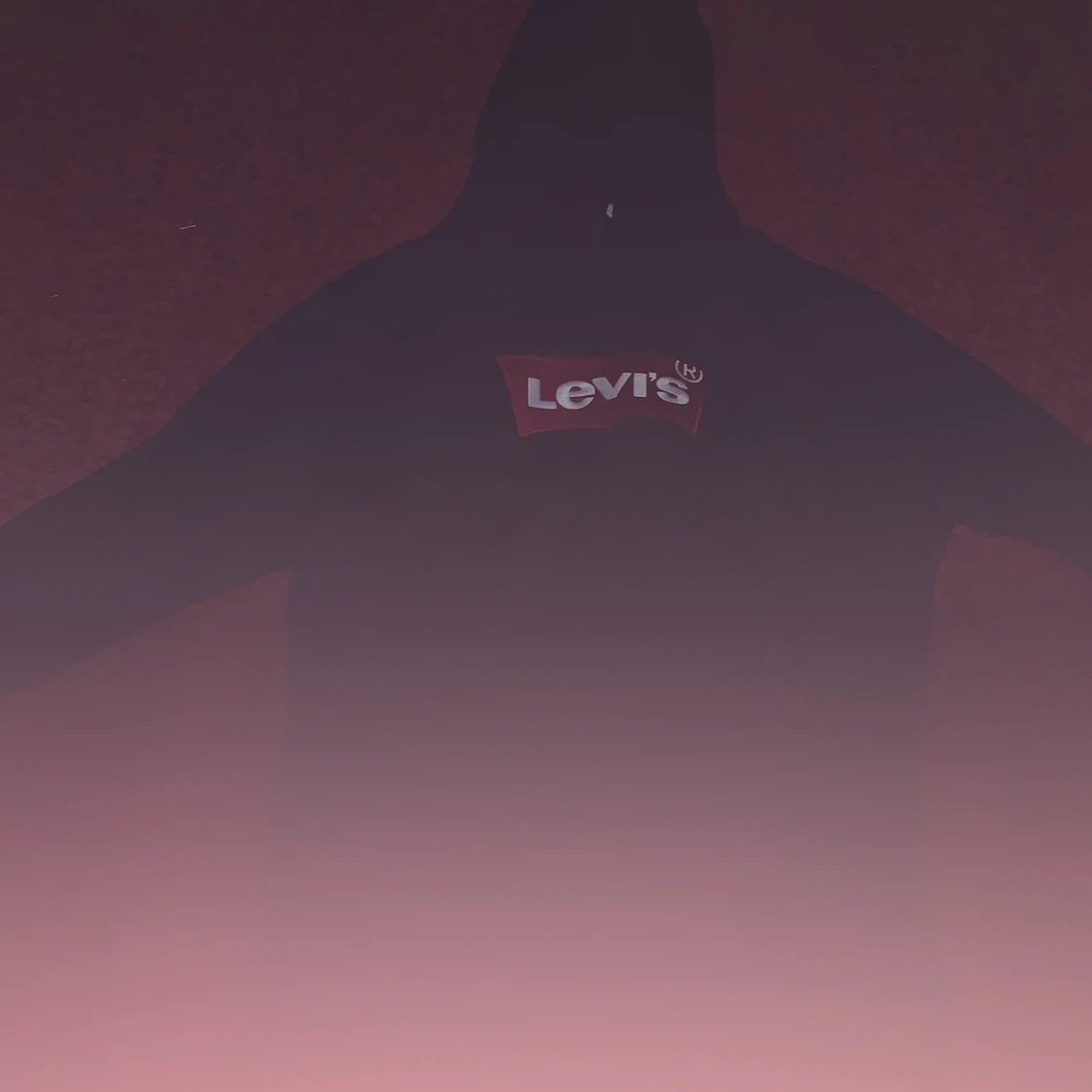Levis Hoodie storlek: M - 90