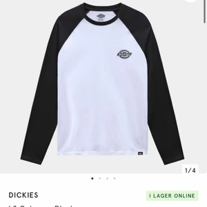 Dickies longsleeve  - Säljer då den e för tajt för mig! Fint skick utom en fläck som blivit av blekning på ena bakärmen därav pris🤍