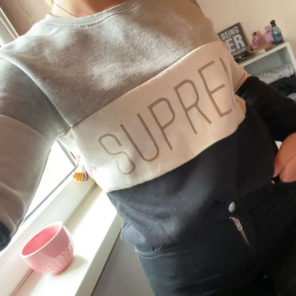 Fin 3 färjad sweatshirt från suprene . Hoodies.