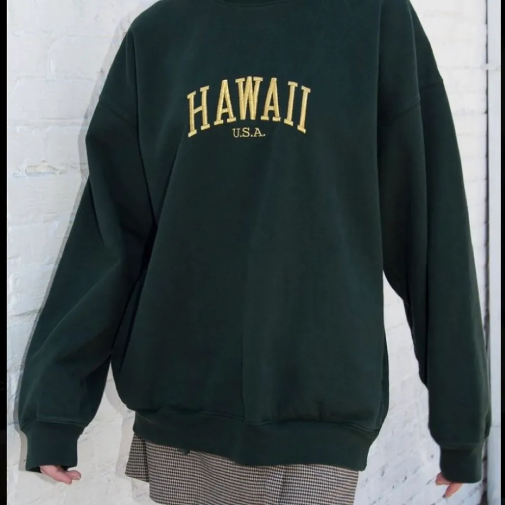 Oversized sweatshirt från Brandy Melville 😇 Inte använt så många gånger så väldigt fint skick💕. Tröjor & Koftor.