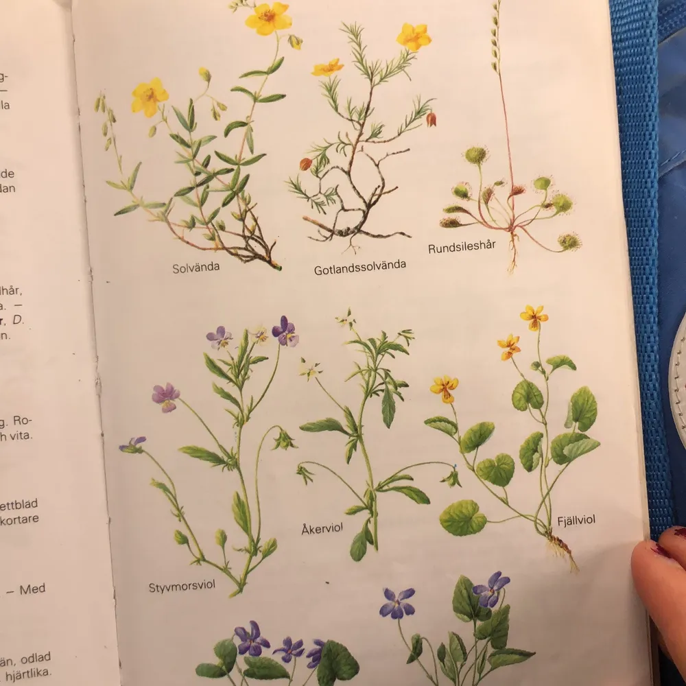 Jätte söt bok med bilder på olika blommor som man kan riva ut o sätta upp på sin vägg, (pris kan diskuteras). Övrigt.