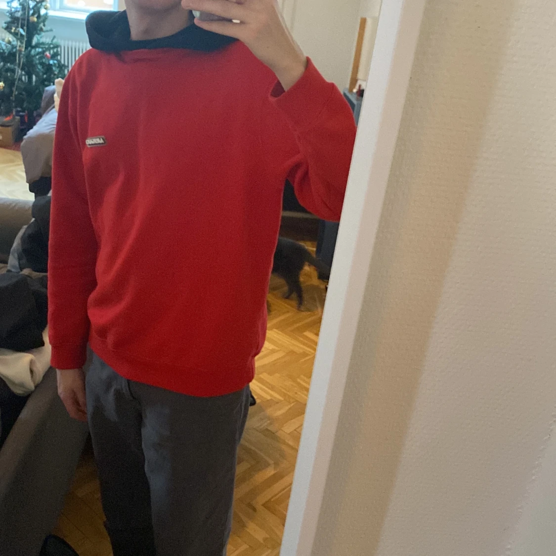 Axel Arigato Hoodie knappt använd - 90