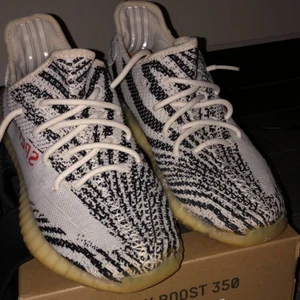 Yeezy  - Yeezy zebra, kartong kvitto allt ingår. 