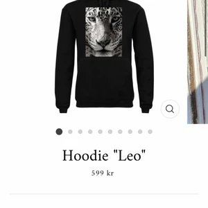 The cool elephant hoodie - Superfin hoodie från det populära märket ”the cool elephant”. Använd ca. 10 ggr men är i väldigt fint skick❤️‍🔥 säljer då jag inte har användning för den längre 