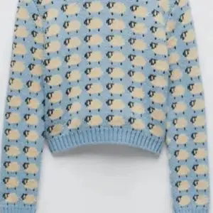 Vill köpa denna tröjan, helst i storlek S eller M. Tröjan är ursprungligen från Zara