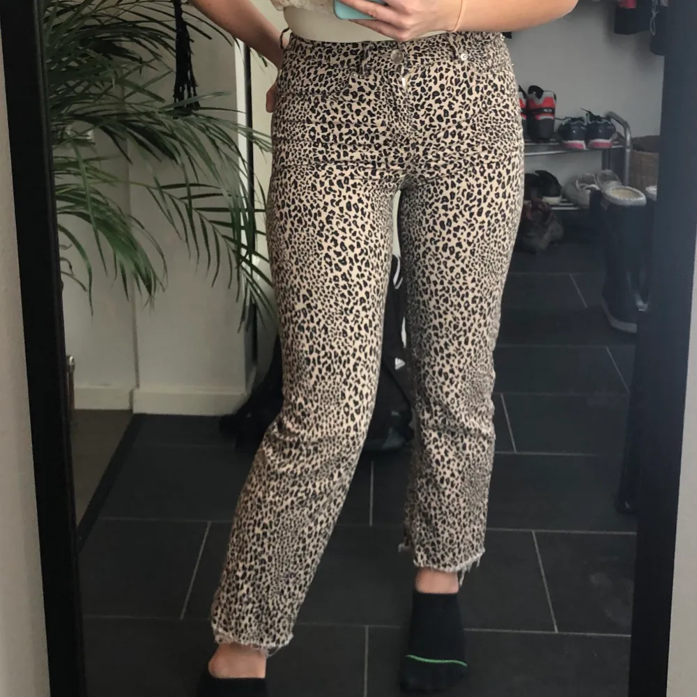 H&m leopard jeans outlet