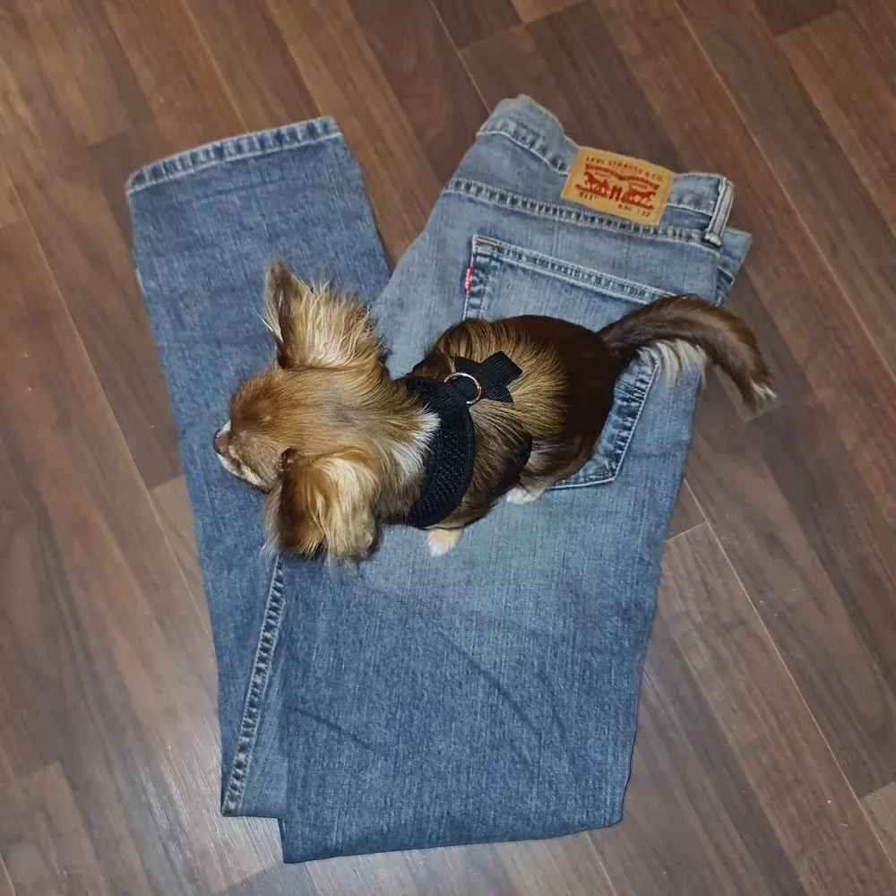 Vanliga snygga levi's. Knappt använda. Min hund ville tydligen va med på bild så de fick bli så 🧡. Jeans & Byxor.