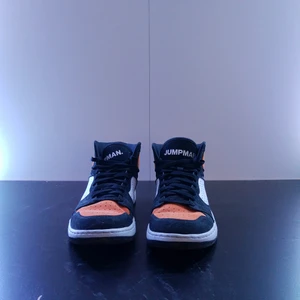 Jordans access  - Bra skick, unika skor, storlek 43, tyvärr ingen låda 