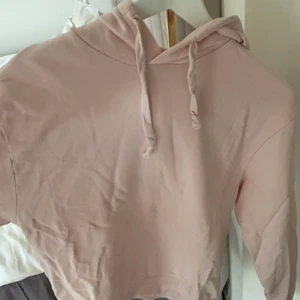 Babyrosa Hoodie  - Babyrosa hoodie 