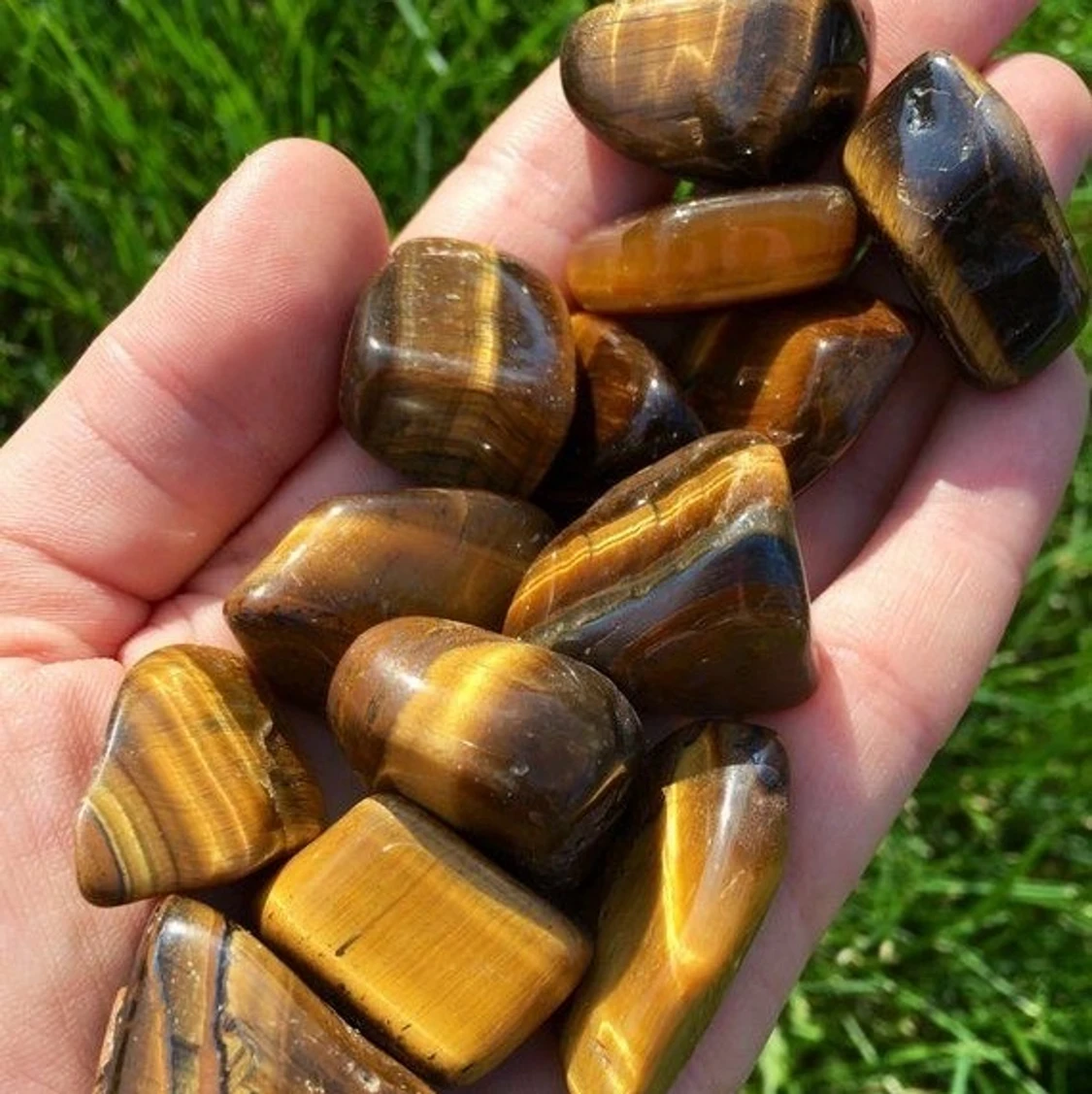 Tigers eye 