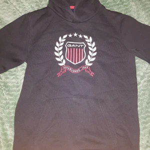 Gant hoddie - Ganska ny gant hoddie