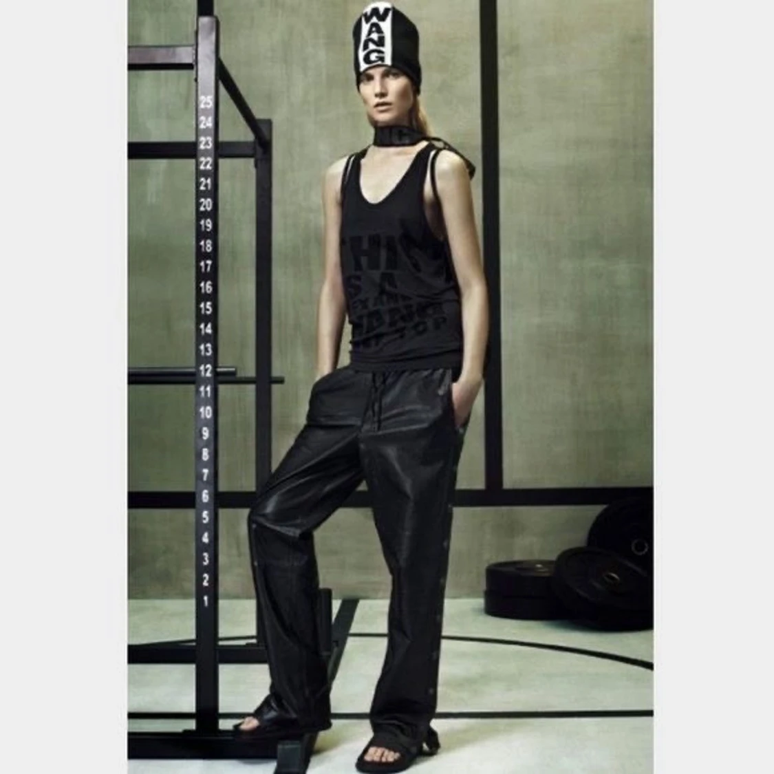 Alexander wang linne