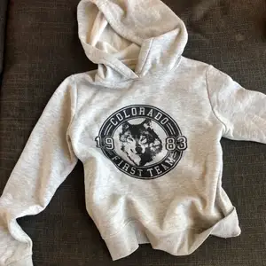 Säljer min gråa knappt använda hoodie. Absolut inget fel, säljer pga för liten på mig. Frakt ingår ej. Skriv gärna för fler bilder eller frågor!🥰