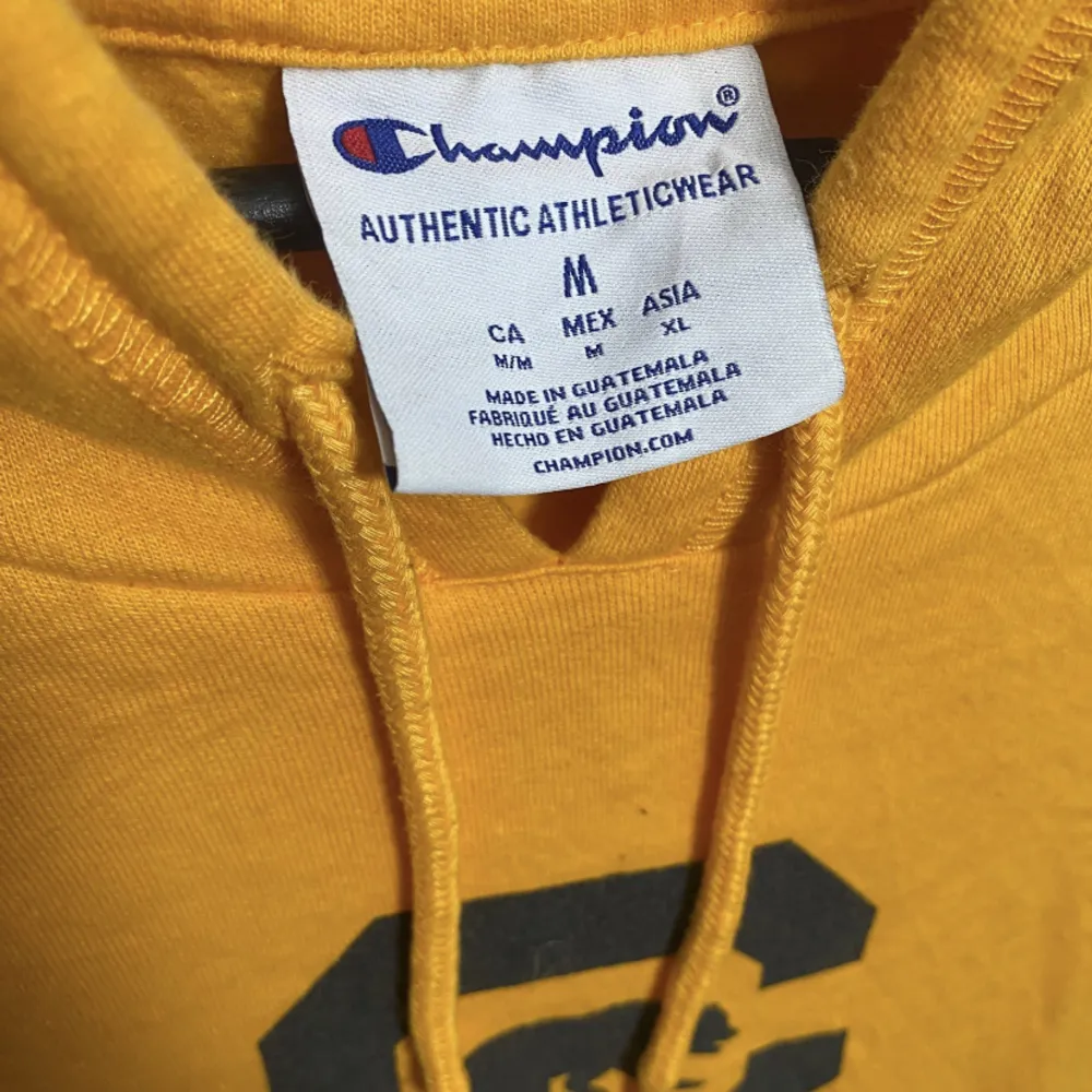 Vintage champion hoodie  California . Hoodies.