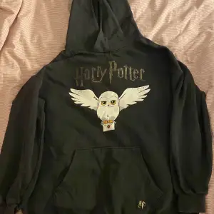 En Harry Potter tröja med Hedvig på