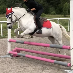 Schabrak och huva - Säljer detta röda sättet i superfint skick. Säljer även matchande röda stigbyglar, nack och nosludd samt jättefint pannband. Pris på allt är diskuterandet, bara att ta kontakt så kan vi bestämma ett pris👍❤️