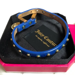 Juicy couture armband - Superfint juicy couture armband i fint skick!!