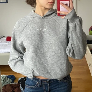 Grå hoodie - Bra skick, lite nopprig men det går att fixa! Pris kan diskuteras💗