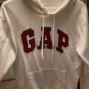 vit gap hoodie