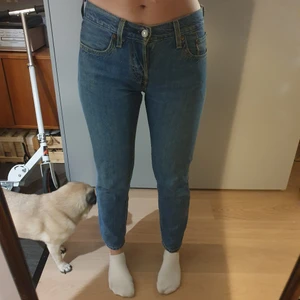Levis 501 ct - Levis 501 ct 24/32. Fint skicka lite nötta på insida lår.