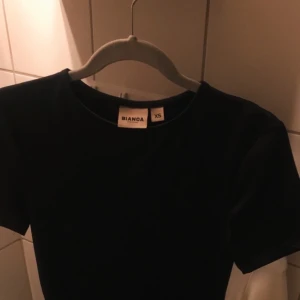 Body biancaxNelly  - Aldrig använd men lappen har åkt av. Storlek xs. Frakt tillkommer.