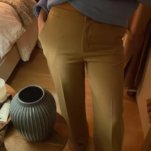 Kostymbyxor  - Kostymbyxor, beiga/bruna Passar S/M beroende på vilken fit man vill ha. Aldrig använda