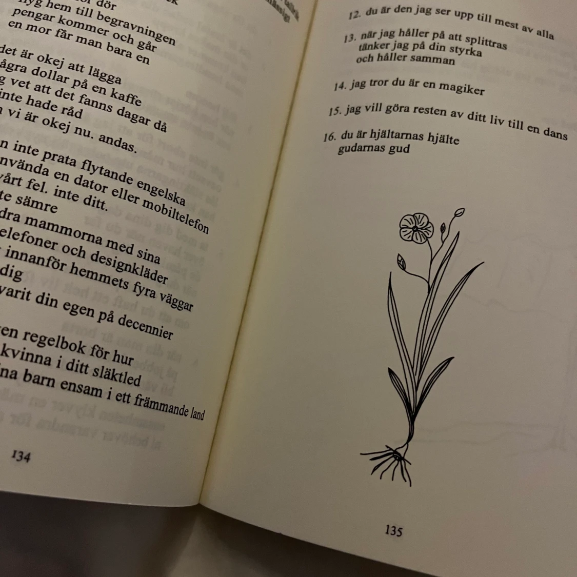 Diktbok Solen och hennes rosor - 91